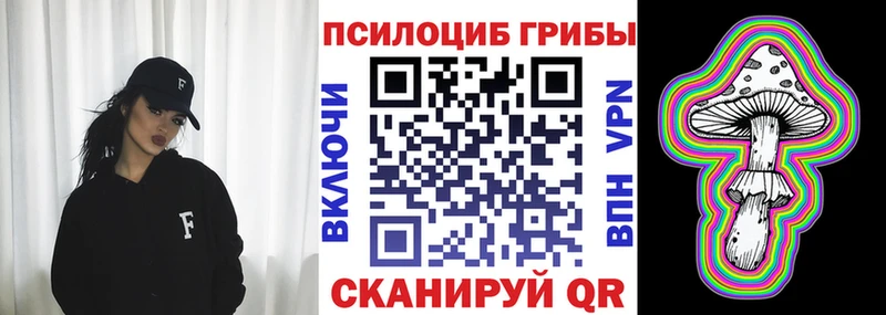 Псилоцибиновые грибы Magic Shrooms  Купить закладки  Новодвинск 